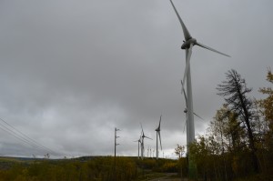 Bear Mountain Wind Park