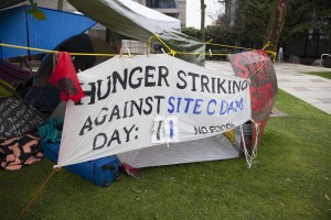 HC_HungerStrike7