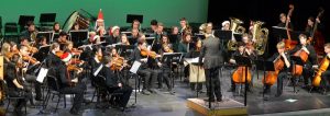 Oak Bay Orchestra Concert photo